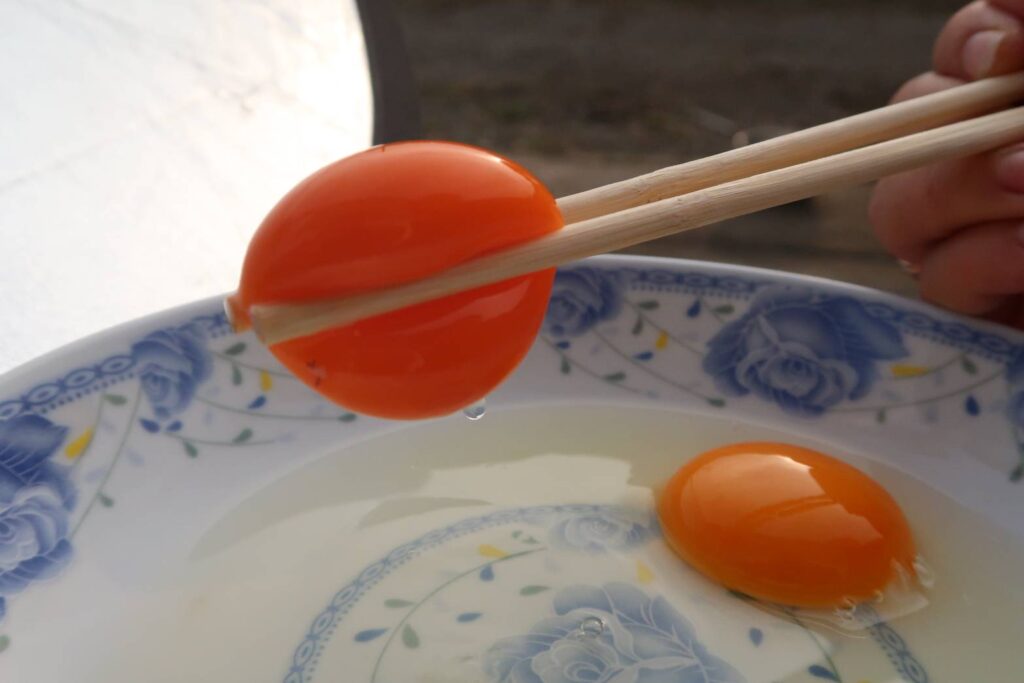 掛川酵母卵_三越伊勢丹_掛川酵母菌_イーストKジャパン